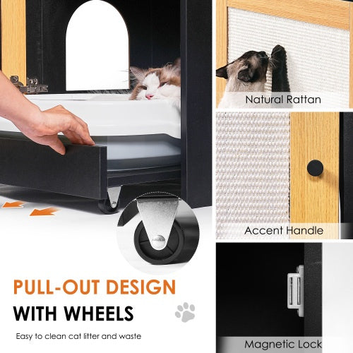 Hidden Cat Litter Box End Table